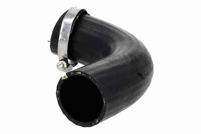 FURTUN EAR SUPRAALIMENTARE ACKOJA A520882 4