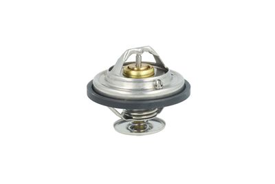 TERMOSTAT LICHID RACIRE NRF 725478 41