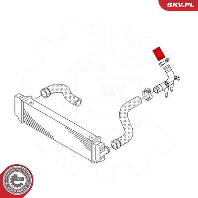 Charge Air Hose 43SKV441