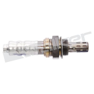 LAMBDASONDE WALKER PRODUCTS 25023826 1