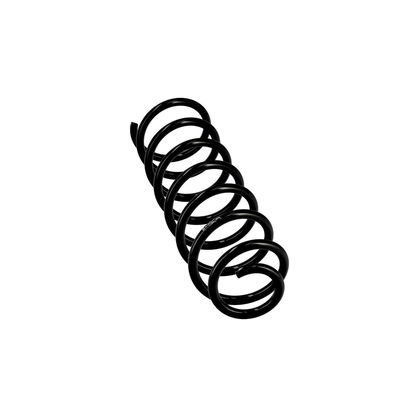 ARC SPIRAL EIBACH R10057 24