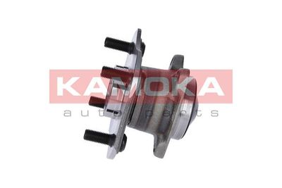 Wheel Bearing Kit 5500073