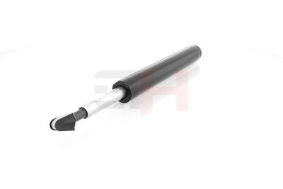 AMORTIZOR GH GH344794 12