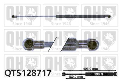 QUINTON HAZELL QTS128717 Амортизатор багажника и капота для RENAULT SCÉNIC I вэн (JA0/1_, FA0_)