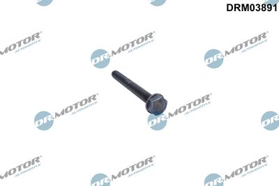 Dr.Motor Automotive Varžtas, guolio laikiklis (alkūninis velenas)
