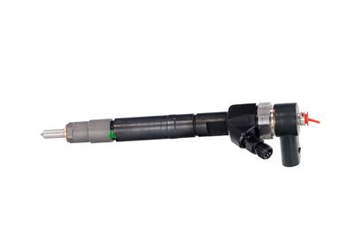INJECTOR REMANTE 002003001146R 13