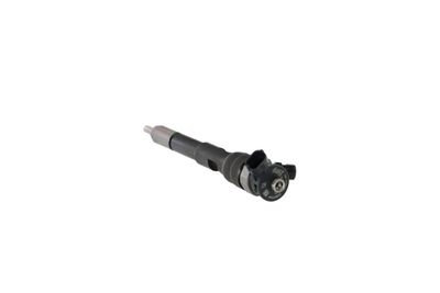 INJECTOR REMANTE 002003001494R 24