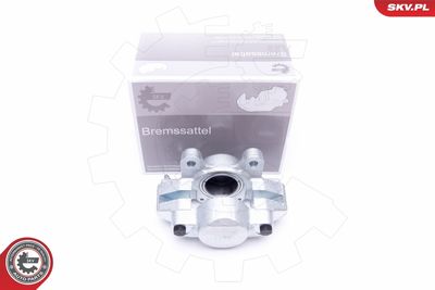 Brake Caliper 45SKV862