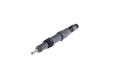 INJECTOR REMANTE 002003000042R 61