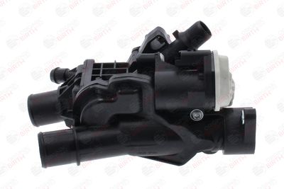 FLANSA LICHID RACIRE BIRTH 81801 1