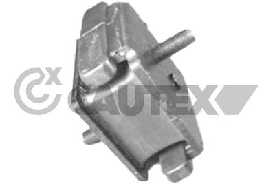 CAUTEX Lagerung, Motor (760968)
