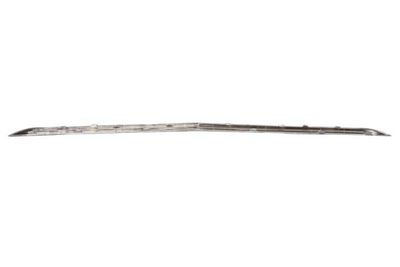 Pynte-/beskyttelsesliste, kølergitter BLIC 6502-07-5079991P