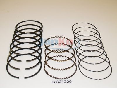 SEGMENT PISTON