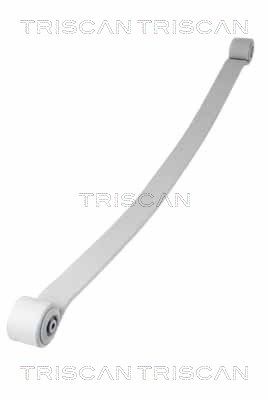 TRISCAN Federnpaket