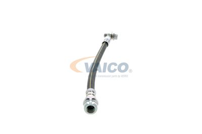 FURTUN FRANA VAICO V101125 15