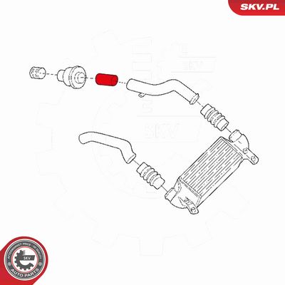 FURTUN EAR SUPRAALIMENTARE ESEN SKV 24SKV974 3