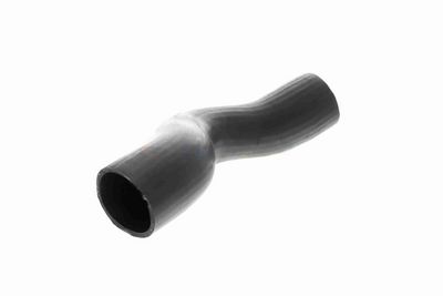 FURTUN EAR SUPRAALIMENTARE ACKOJA A370110 13