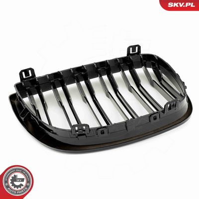 GRILA RADIATOR ESEN SKV 66SKV005 5