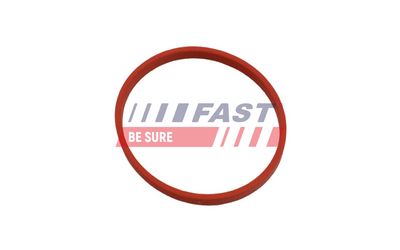 GARNITURA CONDUCTA SUPAPA-AGR