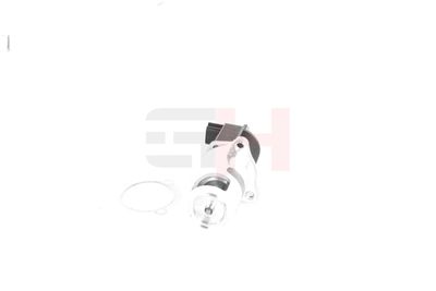 SUPAPA EGR GH GH733910 44