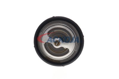 TERMOSTAT LICHID RACIRE ACKOJA A38990006 25