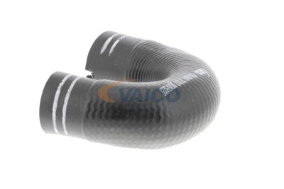 FURTUN EAR SUPRAALIMENTARE VAICO V240804 26