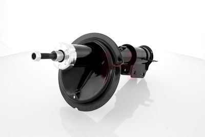 AMORTIZOR GH GH322355 12