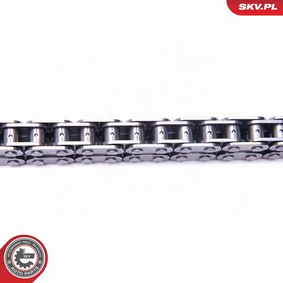 CHIT LANT DE DISTRIBUTIE ESEN SKV 21SKV165 2