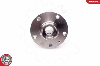 Wheel Bearing Kit 29SKV010