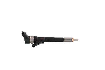 INJECTOR REMANTE 002003001665R 38
