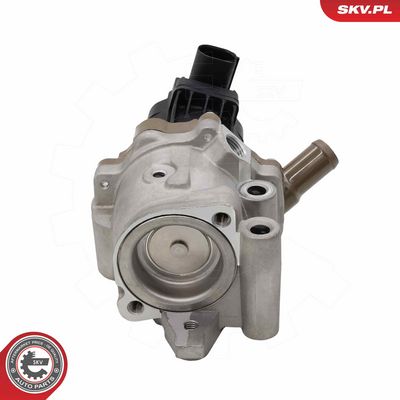 AGR-Ventil ESEN SKV 14SKV313