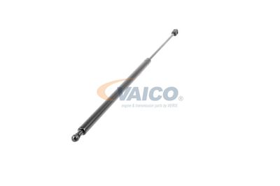GASFEDER KOFFER-/LADERAUM VAICO V460438 52