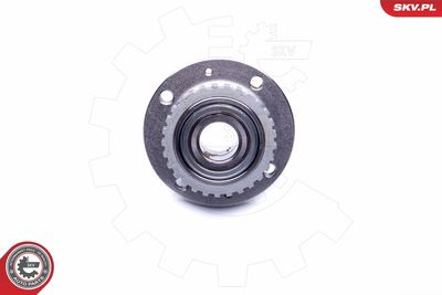 Wheel Bearing Kit 29SKV197