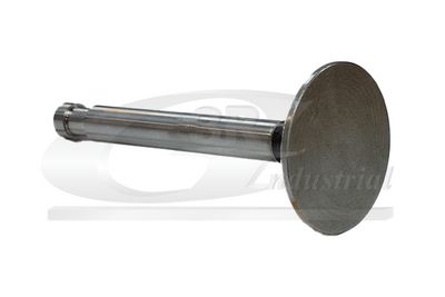 SUPAPA EVACUARE 3RG 87217 1