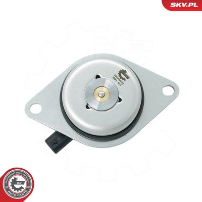 Centrálny magnet pre nastavovanie vačkového hriadeľa ESEN SKV 39SKV902