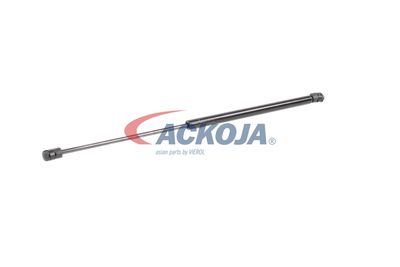 AMORTIZOR PORTBAGAJ ACKOJA A320132 33