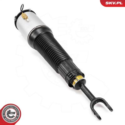 Air Suspension Strut 58SKV700