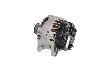 GENERATOR / ALTERNATOR REMANTE 011003000865R 21