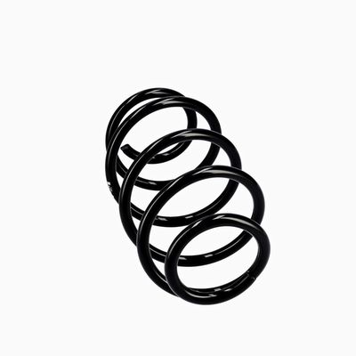 ARC SPIRAL EIBACH R10302 12