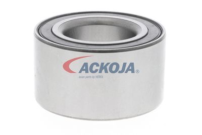 SET RULMENT ROATA ACKOJA A320020 43