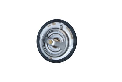 TERMOSTAT LICHID RACIRE NRF 725012 10
