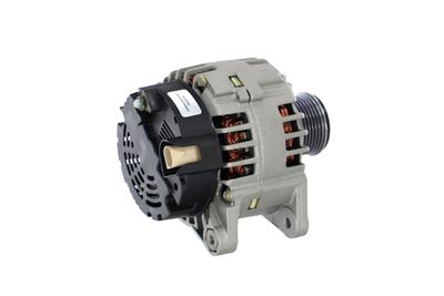GENERATOR / ALTERNATOR REMANTE 011003000122R 38
