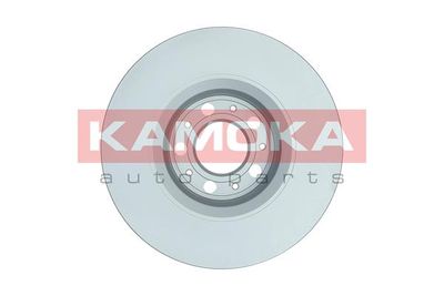 Brake Disc 1032156