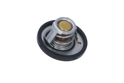 TERMOSTAT LICHID RACIRE NRF 725187 35