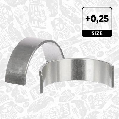 SET LAGAR BIELA ET ENGINETEAM LP008925 1