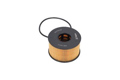 FILTRU ULEI AMC Filter FOF10171 9