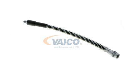 FURTUN FRANA VAICO V464113 16