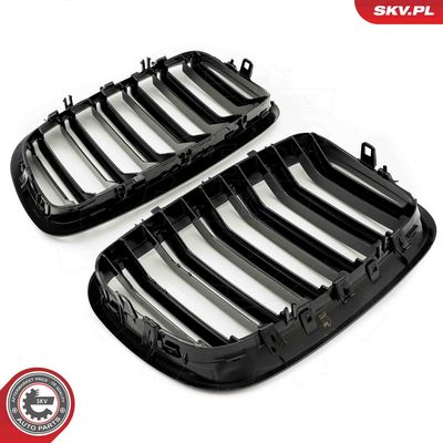 GRILA RADIATOR ESEN SKV 66SKV287 3