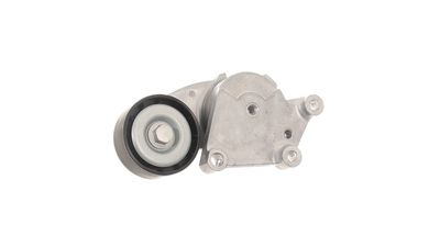 ROLA INTINZATOR CUREA TRANSMISIE SKF VKM33164 24