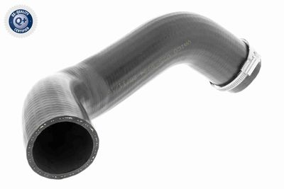 FURTUN EAR SUPRAALIMENTARE